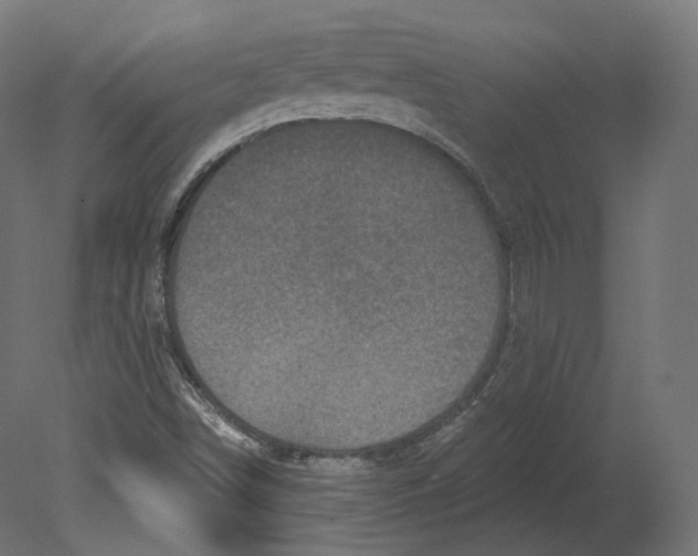 X0000080691498200701121711