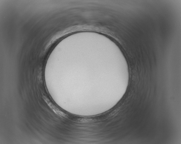 X0000080691499200701121711