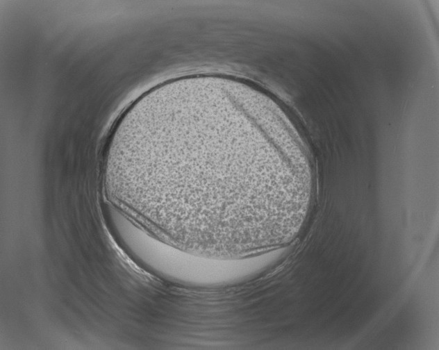 X0000080691500200701121711