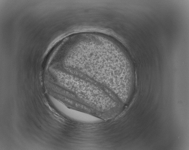 X0000080691501200701121711