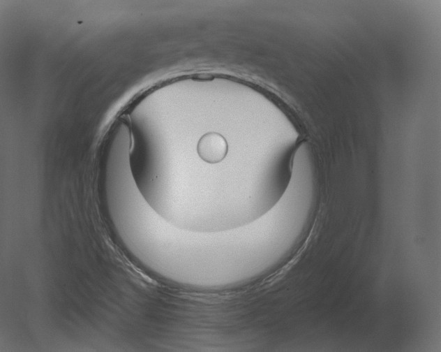 X0000080691502200701121711