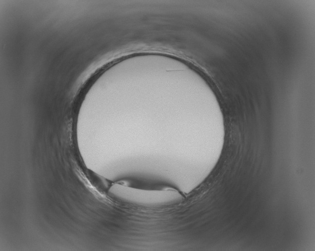 X0000080691503200701121711