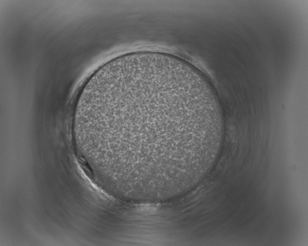 X0000080691504200701121711