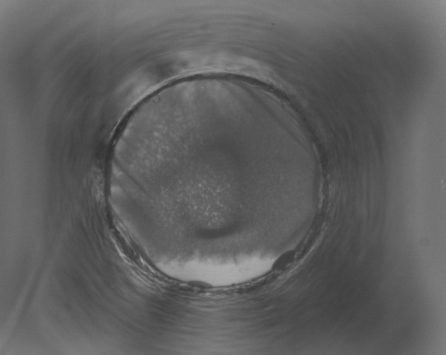 X0000080691505200701121711