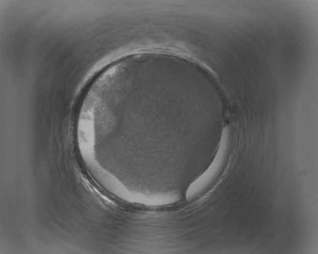 X0000080691506200701121711