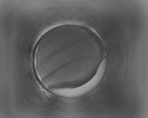 X0000080691508200701121711