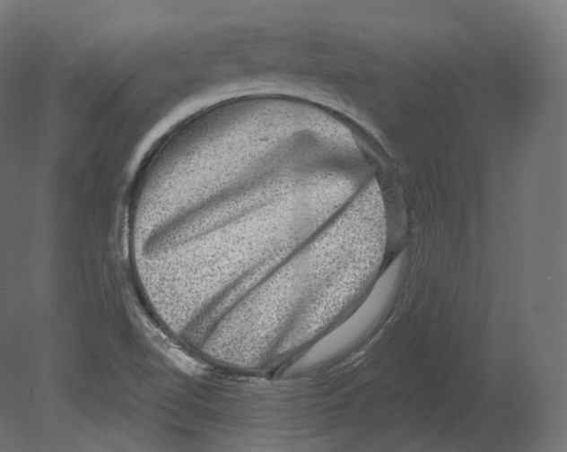 X0000080691510200701121711