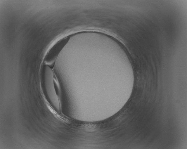 X0000080691511200701121711