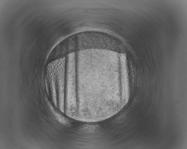 X0000080691513200701121711