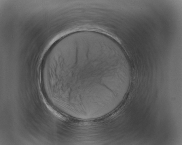 X0000080691515200701121711