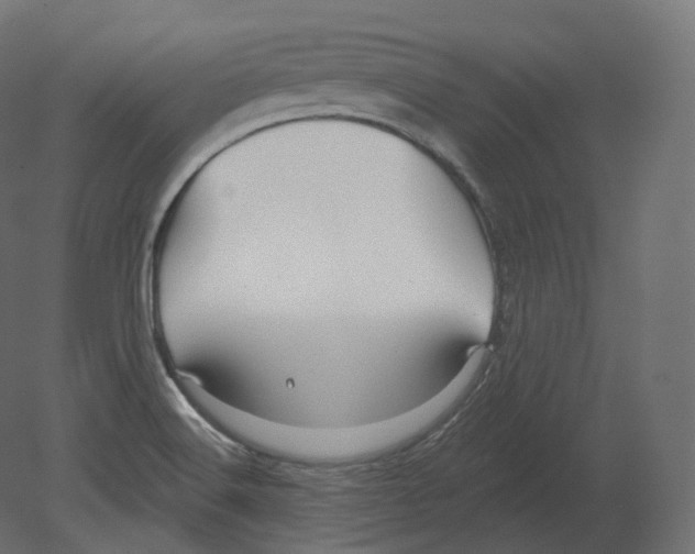 X0000080691516200701121711