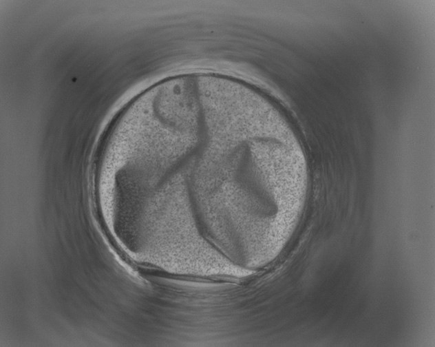 X0000080691517200701121711