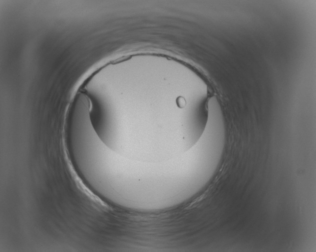 X0000080691518200701121711