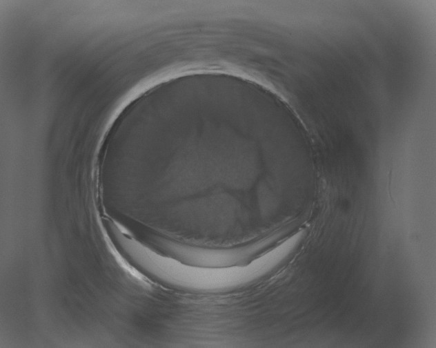 X0000080691519200701121711