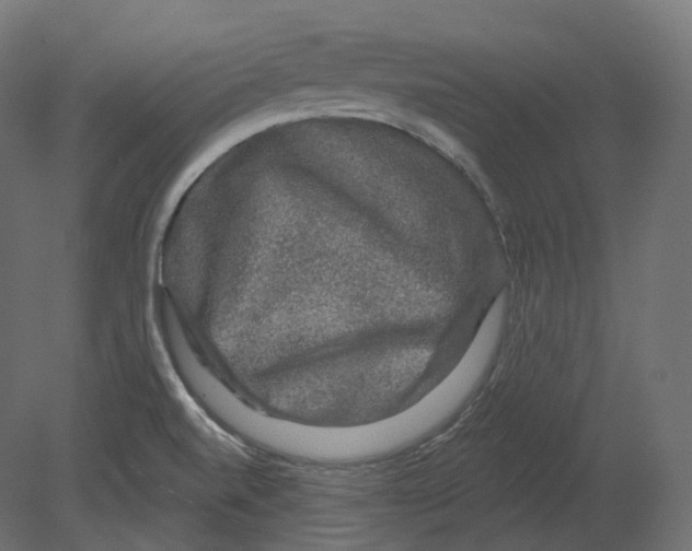 X0000080691520200701121711