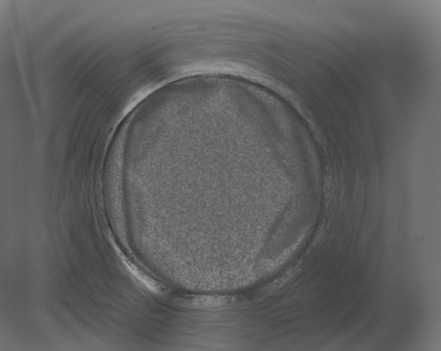 X0000080691521200701121711