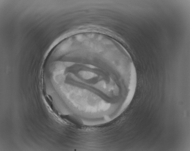 X0000080691522200701121711