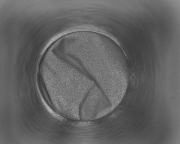 X0000080691523200701121711