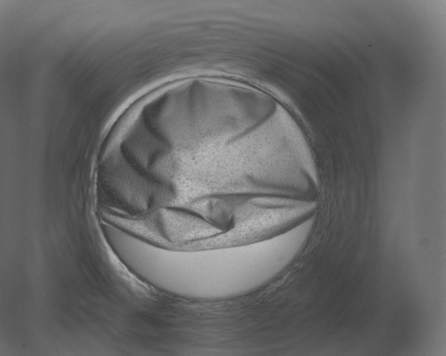 X0000080691524200701121712