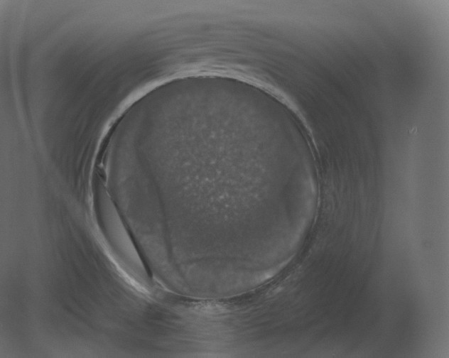 X0000080691525200701121712