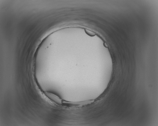 X0000080691526200701121712