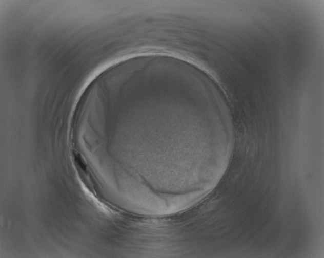 X0000080691527200701121712