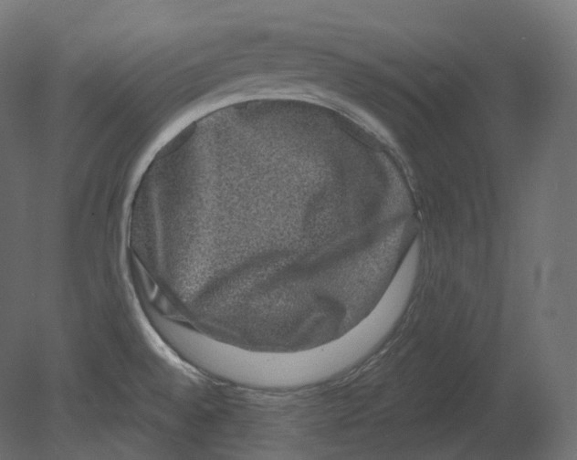 X0000080691528200701121712