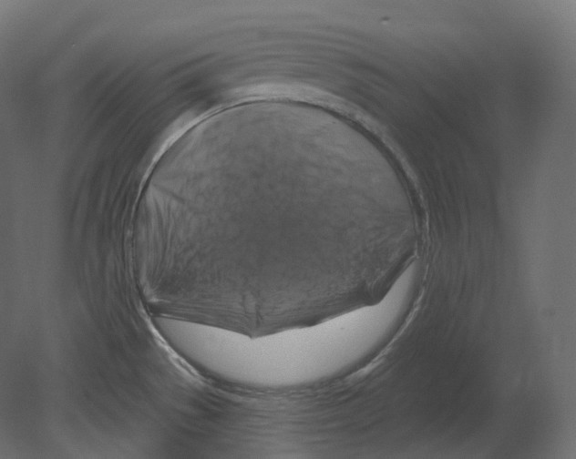 X0000080691529200701121712