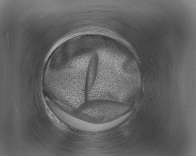 X0000080691530200701121712