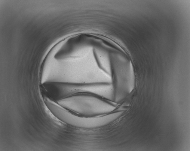 X0000080691532200701121712