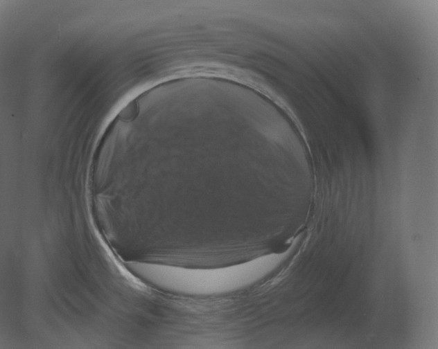 X0000080691533200701121712