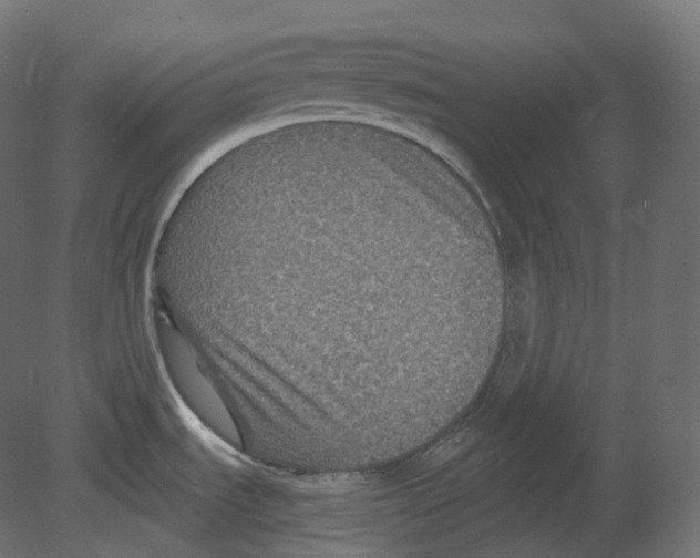 X0000080691535200701121712