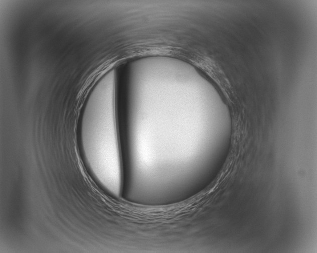 X0000080700001200612150849