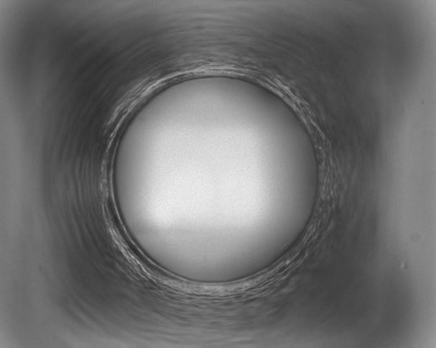 X0000080700002200612150849