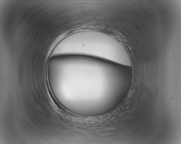 X0000080700003200612150849