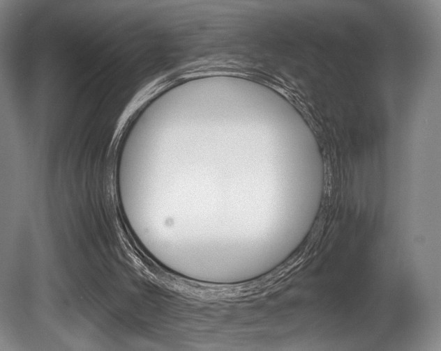X0000080700004200612150849