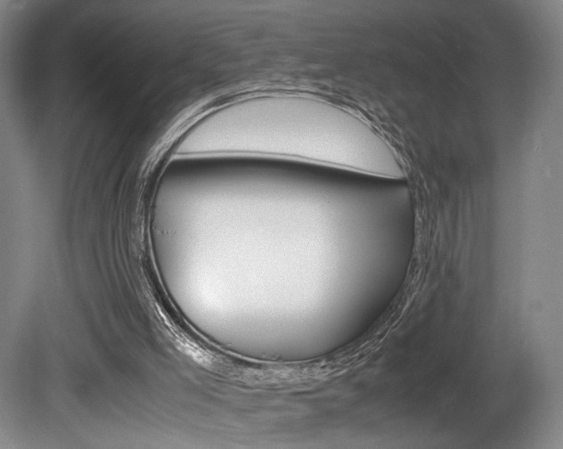 X0000080700005200612150849
