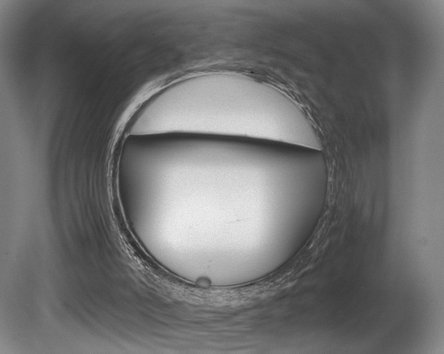 X0000080700006200612150848