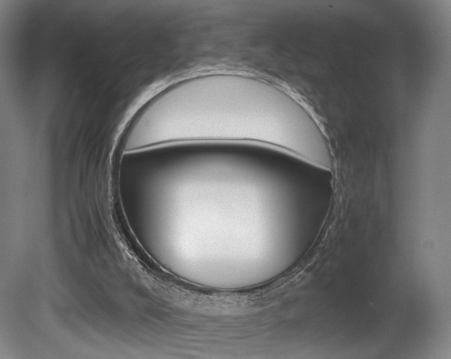 X0000080700008200612150848