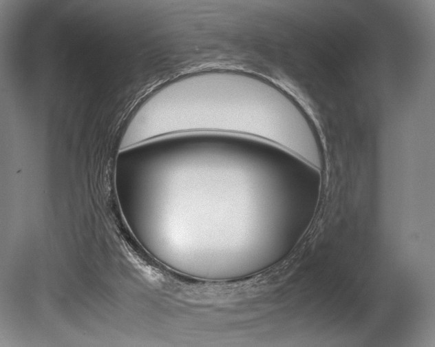 X0000080700009200612150848
