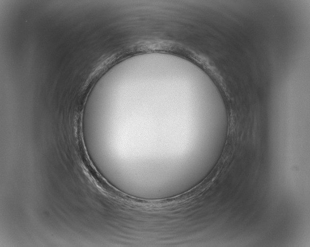 X0000080700010200612150848