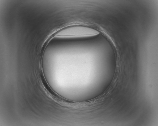 X0000080700011200612150848