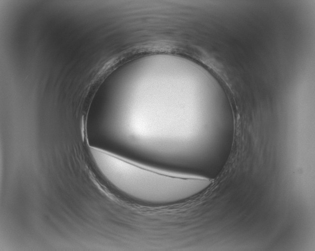 X0000080700013200612150848