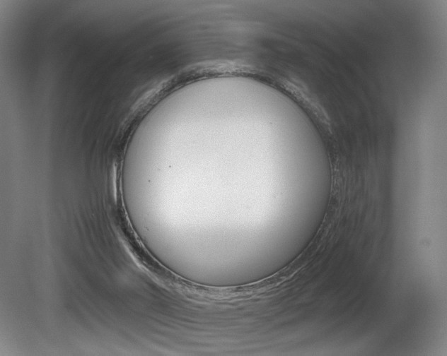 X0000080700014200612150848