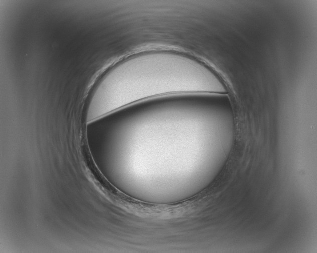 X0000080700015200612150848