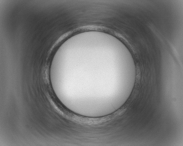 X0000080700016200612150848