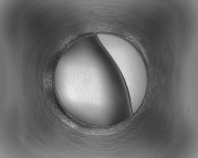 X0000080700017200612150848