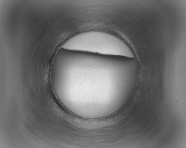 X0000080700018200612150848