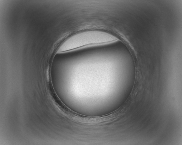 X0000080700019200612150848
