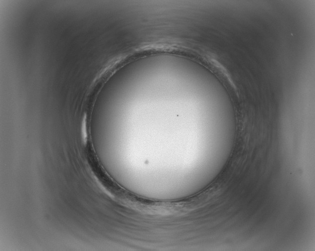 X0000080700020200612150848